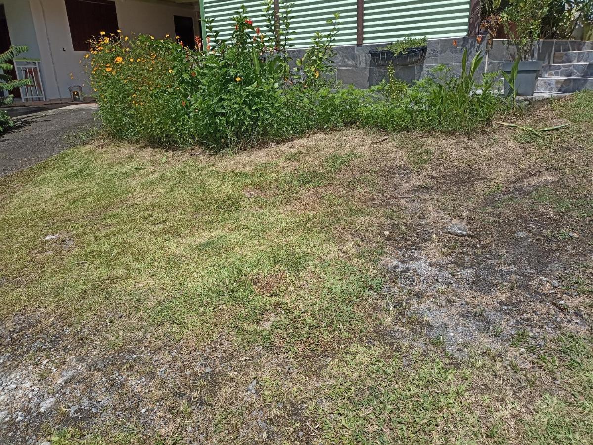 Appartement Milo 1 波尔兰特 外观 照片